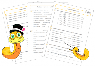 Fiches d’exercices en orthographe – Cycle 2 !