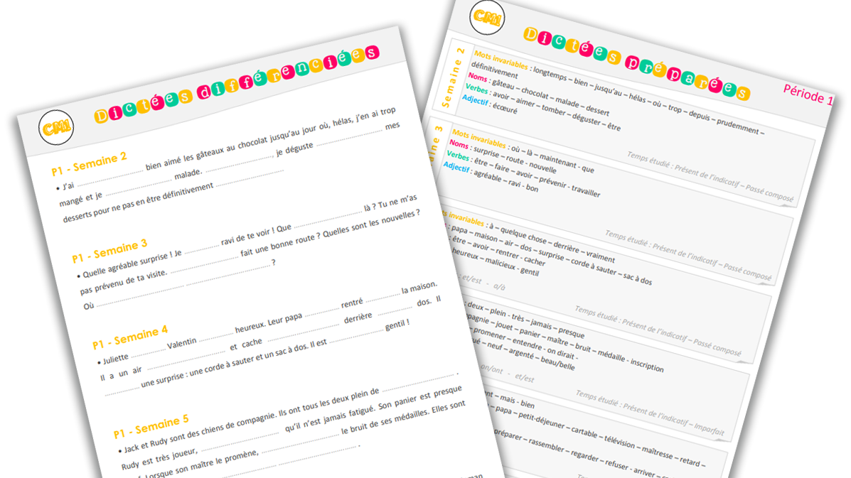 You are currently viewing Un an de dictées CM1 !